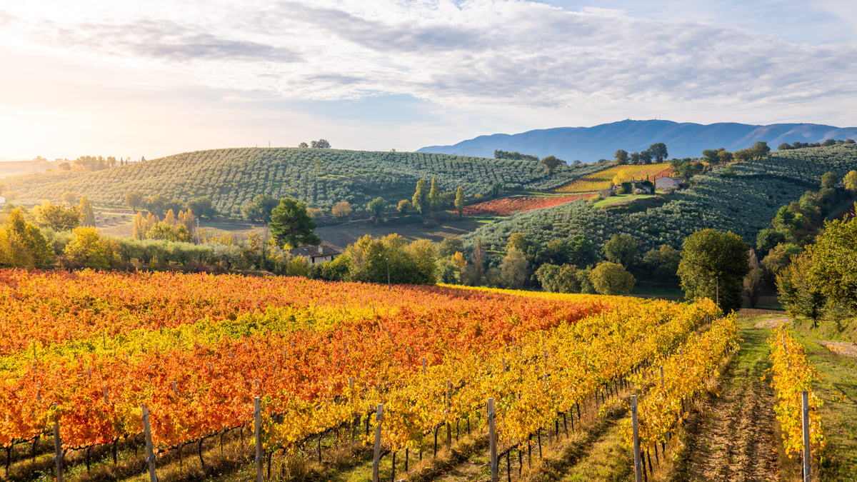Flow Yoga Retreat - In the green heart of Italy