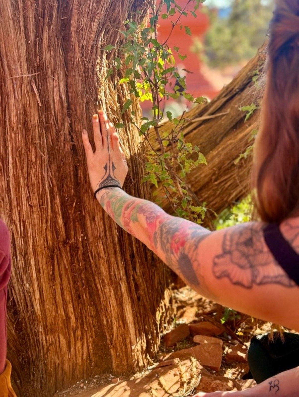 Flow Yoga Retreat - The Reset Retreat