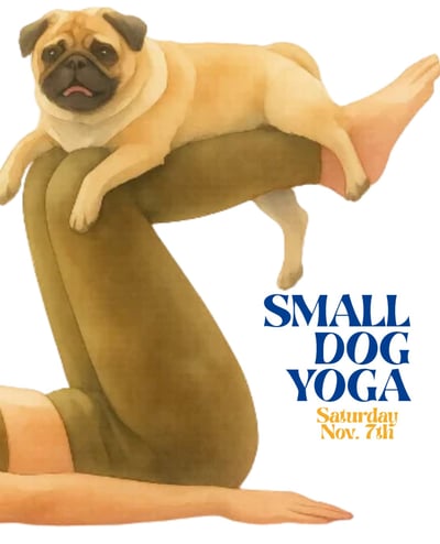 Flow Yoga Cedar Park yoga Austin Texas