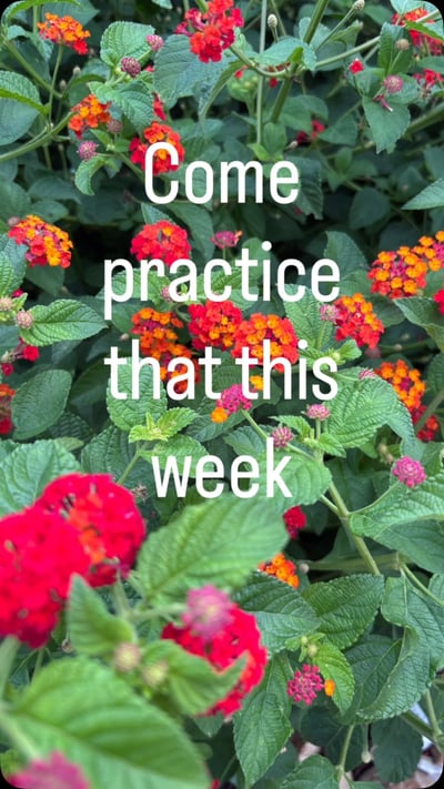 Flow Yoga Cedar Park yoga Austin Texas