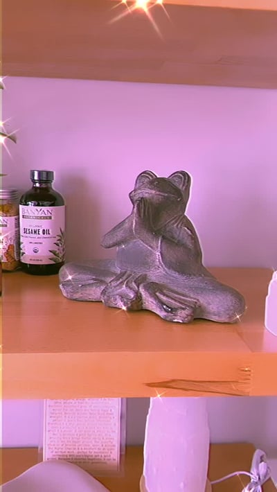 Flow Yoga Georgetown retail shelf with yoga products and frog statue Austin Texas