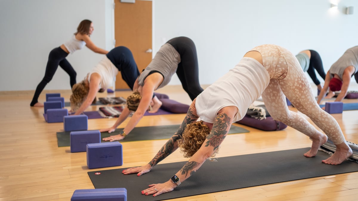 Yoga Teacher Mentorship Workshop at Flow Yoga Westgate in Westgate Austin