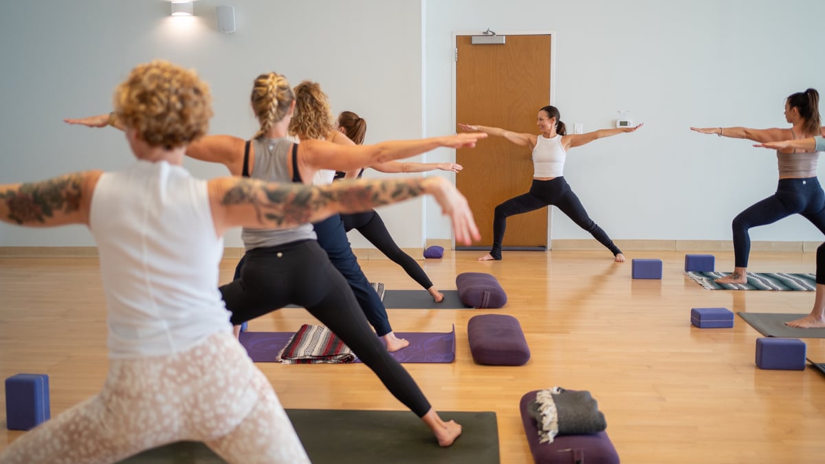 Hatha Yoga Teacher Training Webinar at Flow Yoga Online in Global