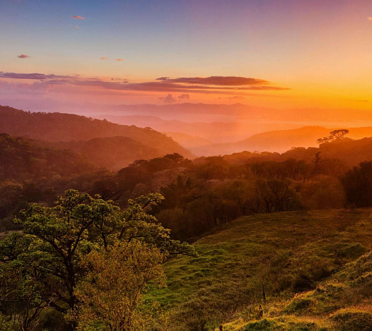 Costa Rica Jungle Getaway