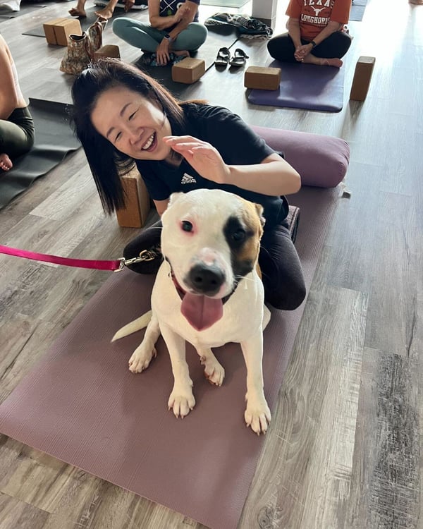 🐾 Pause 4 Paws: A Yoga Class Fundraiser For Our Furry Friends! 🐾We had an absolute blast at our recent Yoga fundraiser for Central Texas SPCA! Thank you to everyone who joined us for the yoga, cuddles, and puppy kisses 🐶💛A special shoutout to @nickisimonich for the initiative  with us and helping raise funds for this cause🧘‍♀️🐕#yogaforagoodcause #austinyoga #adoptdontshop #dogrescue #puppylove #centraltexasspca