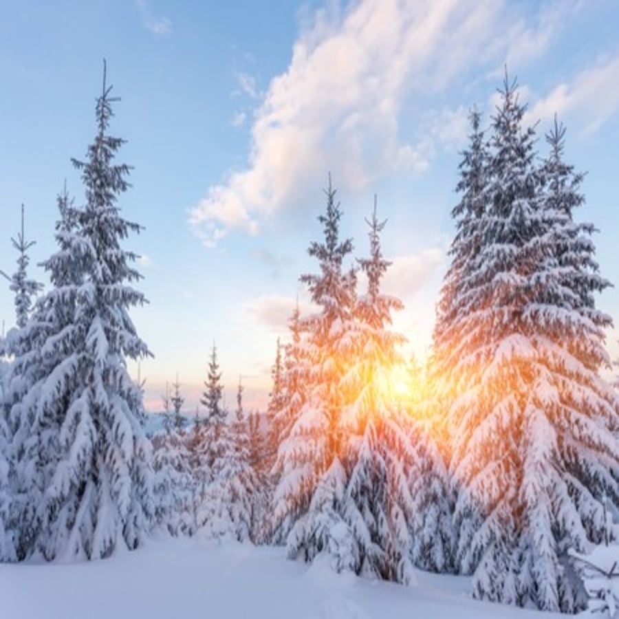 WINTER SOLSTICE: SACRED STILLNESS (Kundalini Yoga • Tea Ceremony • Deep Meditation) at 3rd Eye in Austin