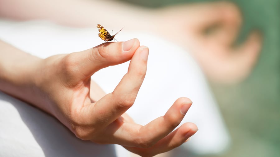2 Day: Nervous System Care Camp at Flow Yoga Westgate in Westgate Austin