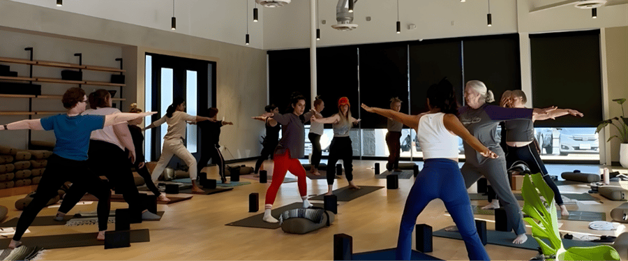 Beyond the Shape: Yoga Alignment for Your Body at Flow Yoga Georgetown in Georgetown
