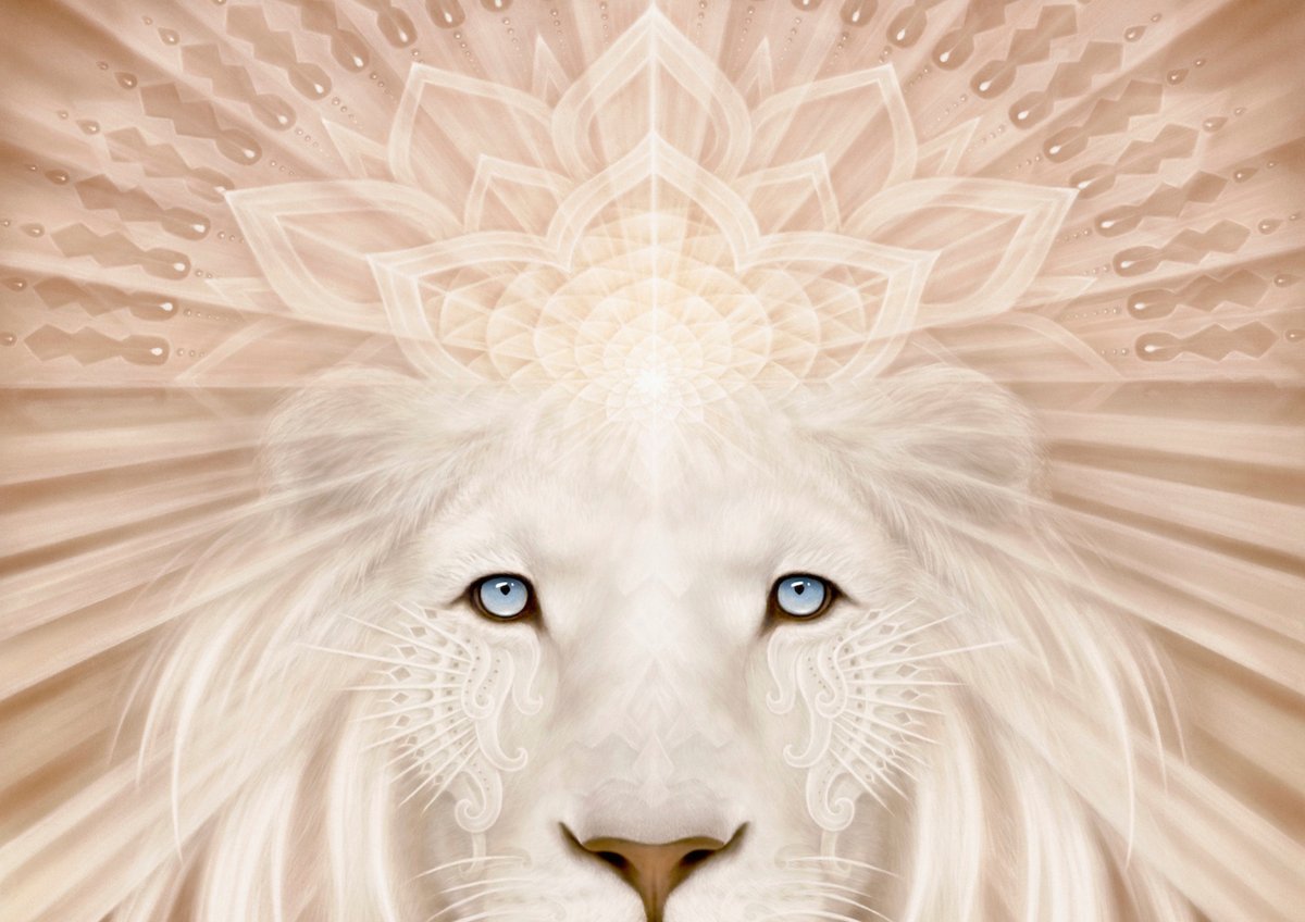 Lionsgate Quantum Activation at 3rd Eye in Austin