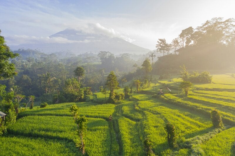 Bali Rice Fields Volcano Sunrise