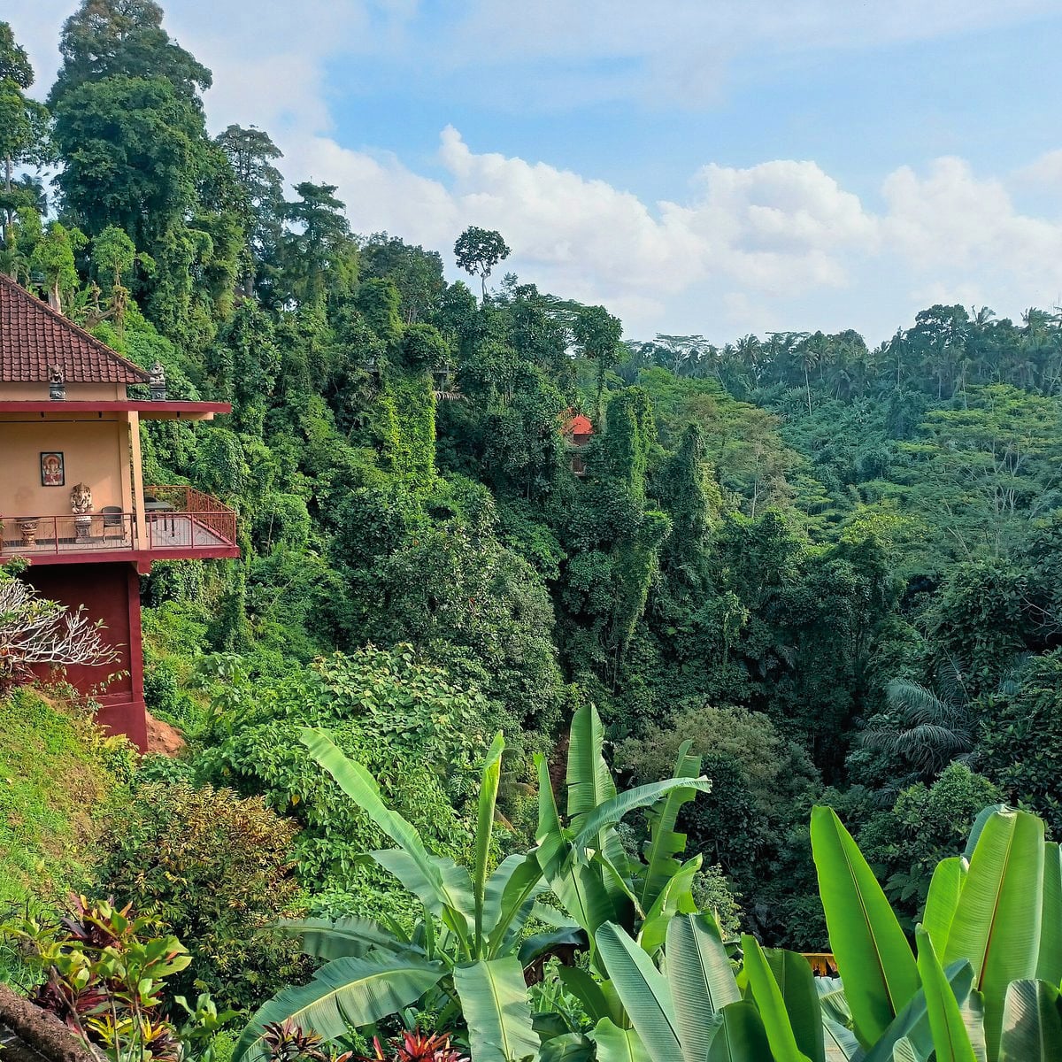 Bali retreat accommodation