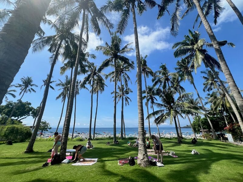 Bali Yoga Retreat Tropical Jungle Resort Aerial